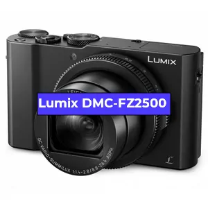 Ремонт фотоаппарата Lumix DMC-FZ2500 в Красноярске